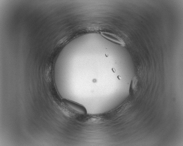 X0000064730364200603031647