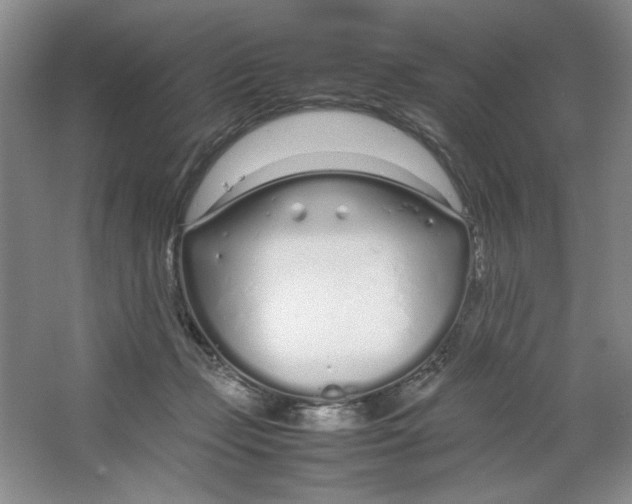 X0000064730365200603031647