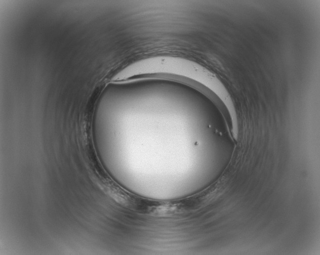 X0000064730366200603031648