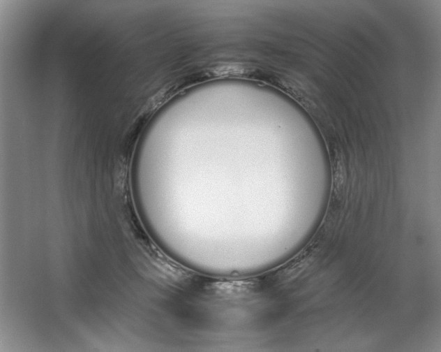 X0000064730367200603031648