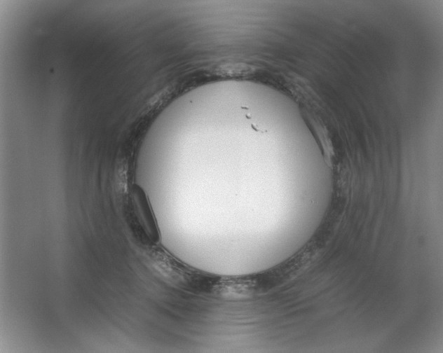 X0000064730368200603031648