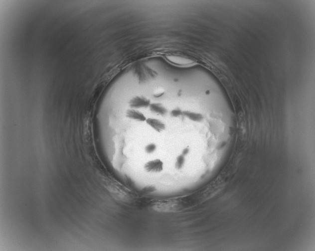 X0000064730369200603031648