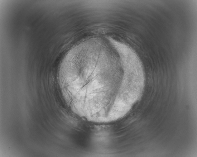 X0000064730371200603031648