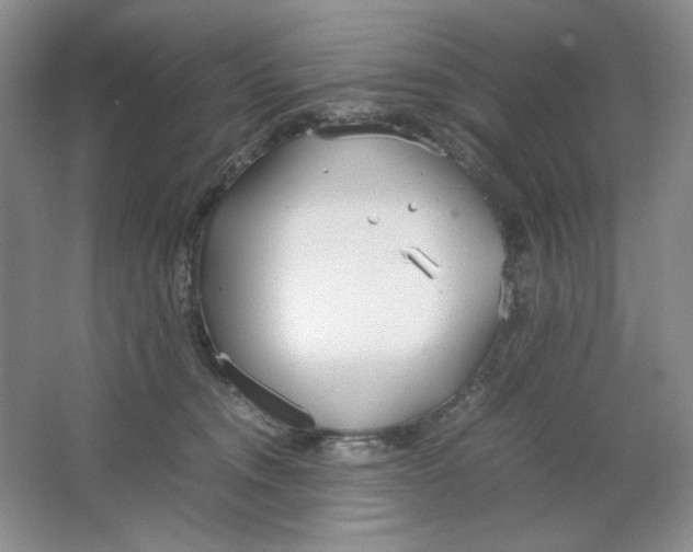 X0000064730372200603031648