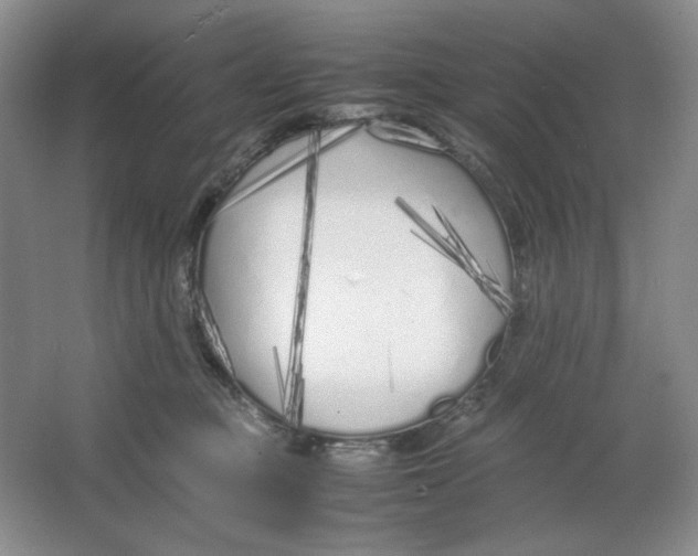 X0000064730373200603031648