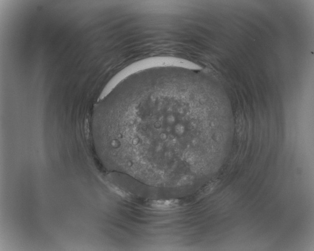 X0000064730375200603031648