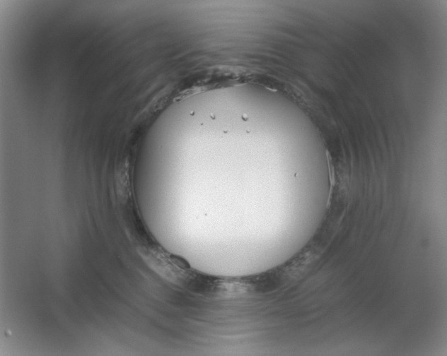 X0000064730376200603031648