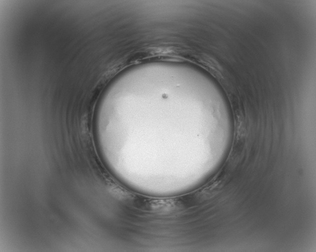 X0000064730377200603031648