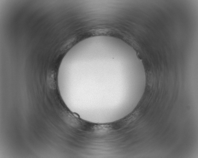 X0000064730378200603031648