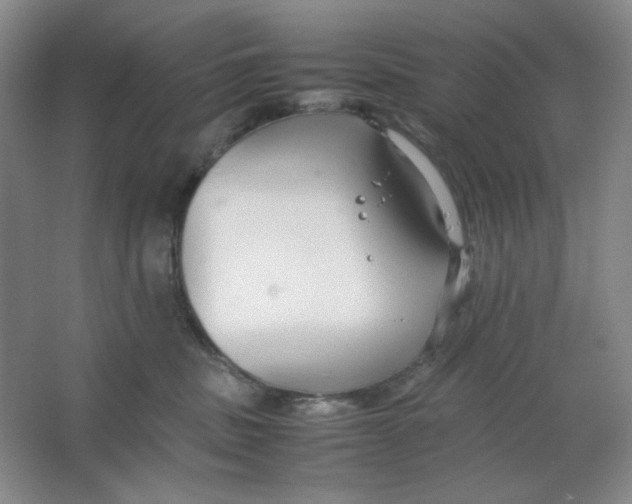 X0000064730379200603031648