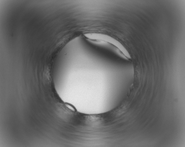 X0000064730380200603031648