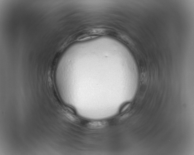 X0000064730381200603031648