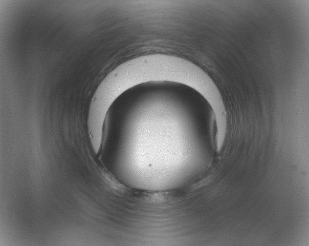 X0000064730382200603031648