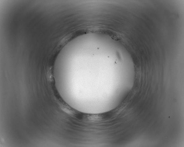 X0000064730383200603031648