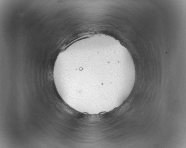 X0000064730384200603031648