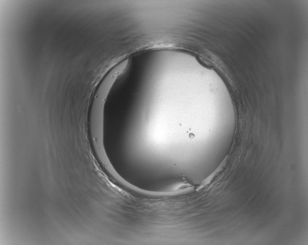 X0000064730385200603031647