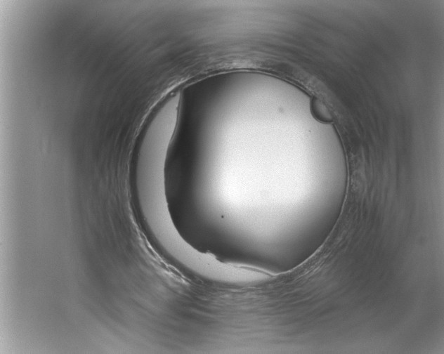 X0000064730386200603031647