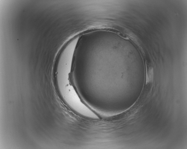 X0000064730387200603031647