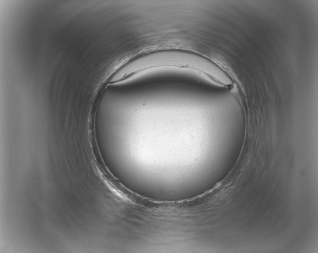 X0000064730389200603031647