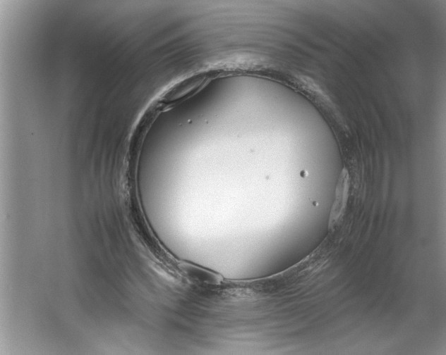 X0000064730392200603031647