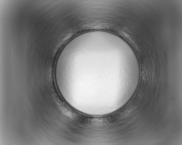 X0000064730394200603031647