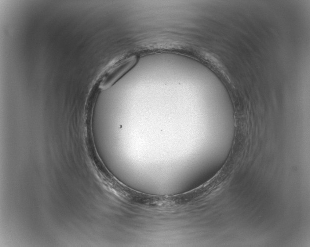 X0000064730395200603031647