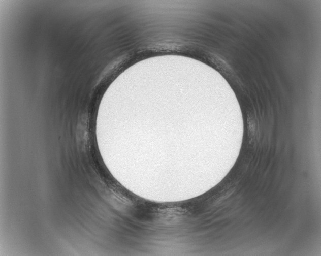 X0000064730396200603031647