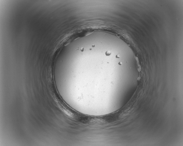 X0000064730397200603031647