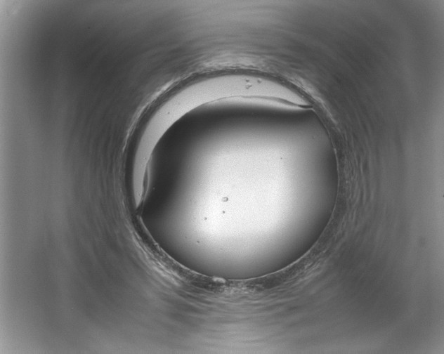 X0000064730399200603031647