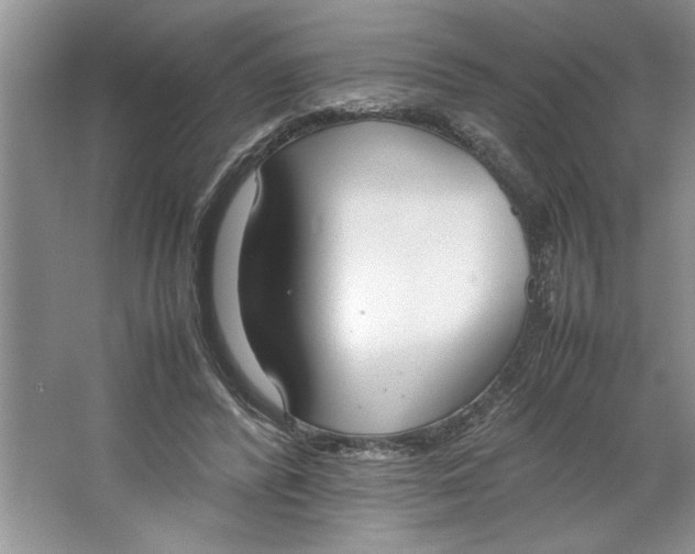 X0000064730400200603031647