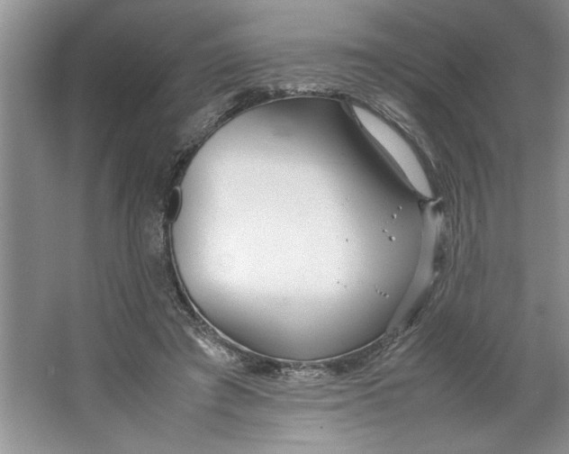 X0000064730401200603031647