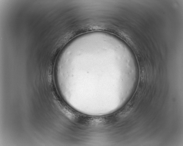 X0000064730402200603031647