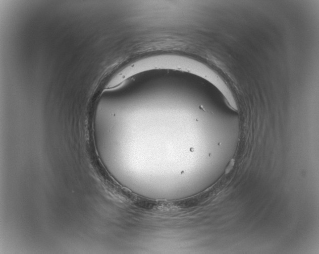 X0000064730403200603031647