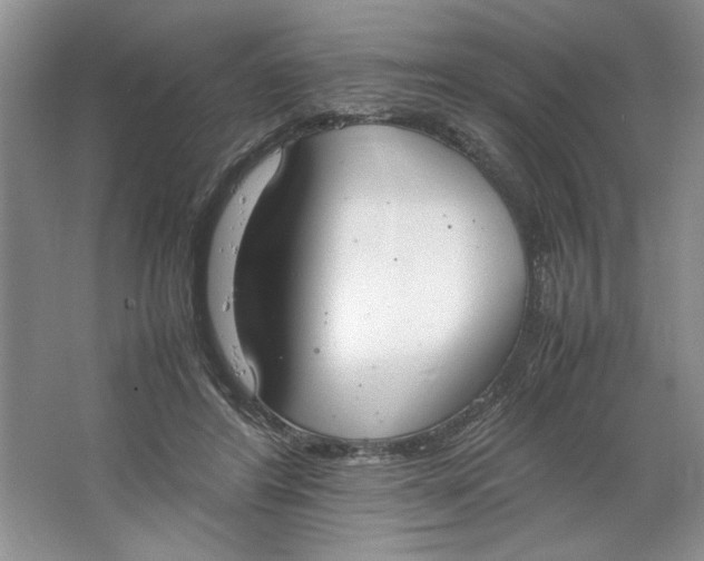 X0000064730404200603031647