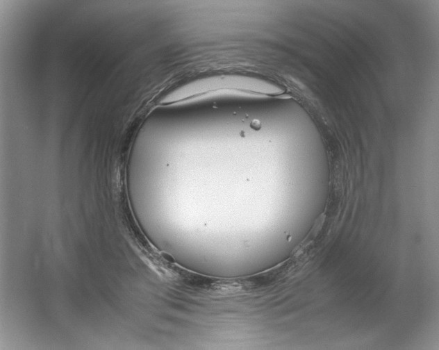 X0000064730405200603031647