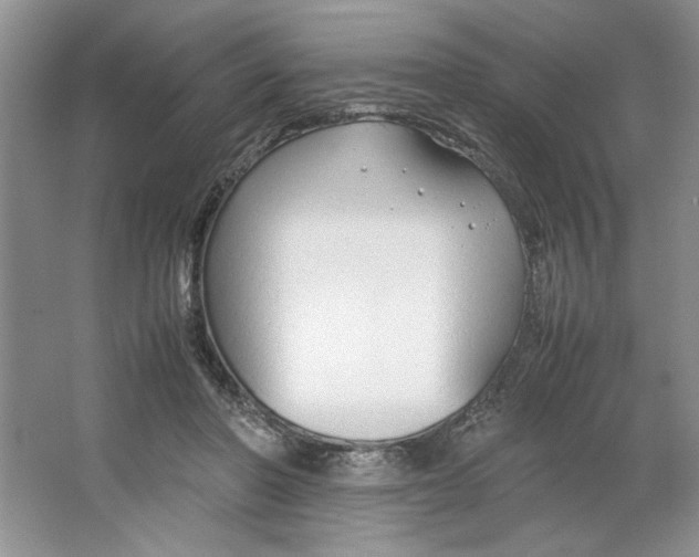 X0000064730406200603031647