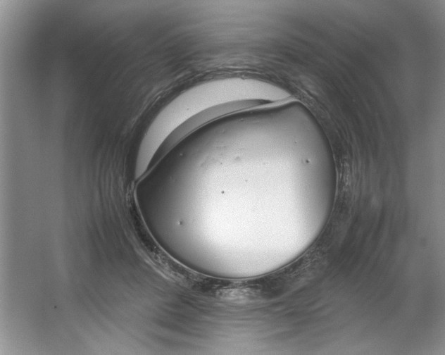 X0000064730408200603031647