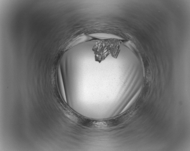 X0000064730409200603031647