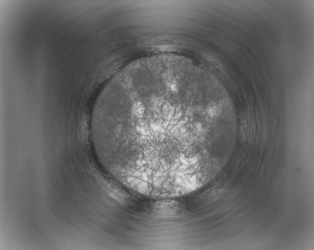 X0000064730410200603031647