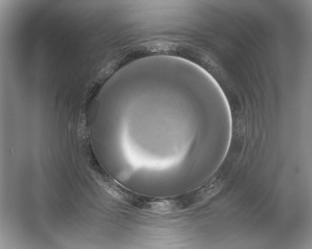 X0000064730411200603031647