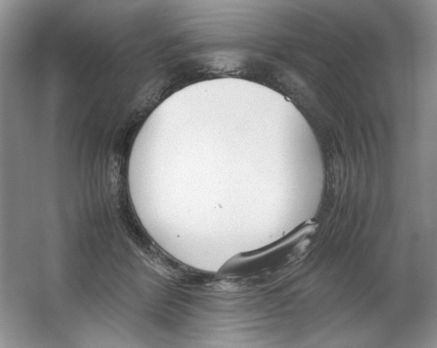 X0000064730412200603031647