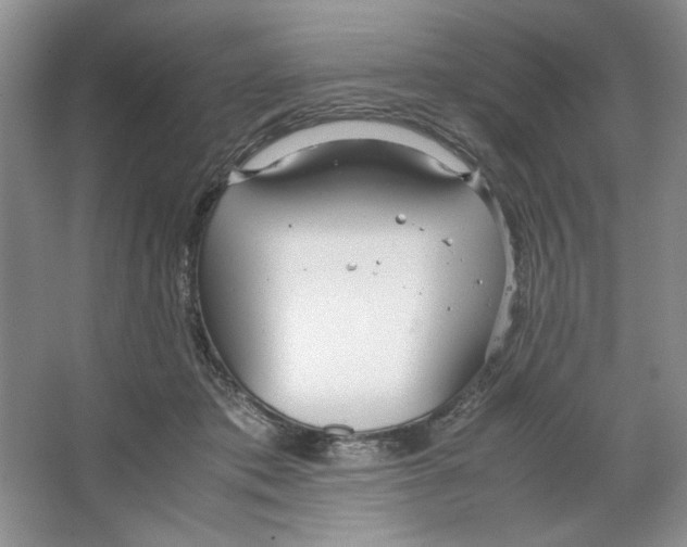 X0000064730413200603031647