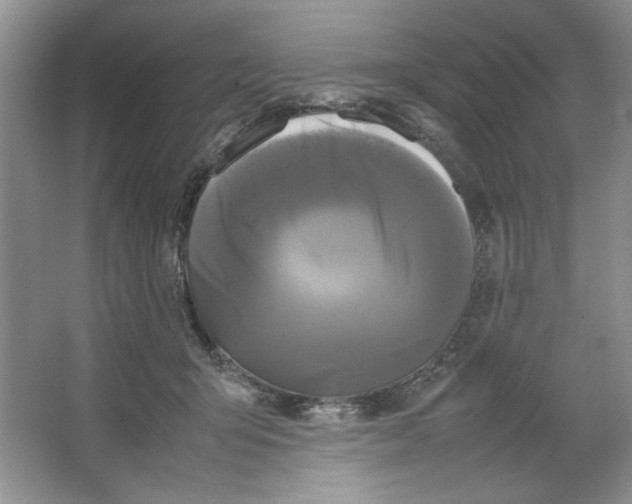 X0000064730415200603031647