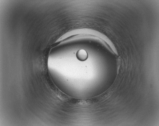 X0000064730416200603031646