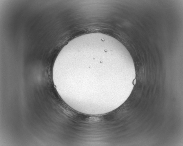 X0000064730418200603031646