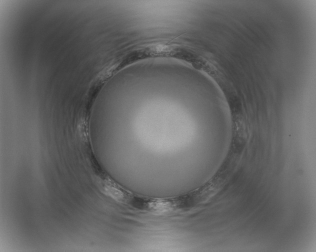 X0000064730419200603031646