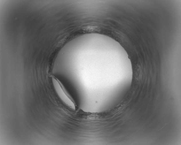 X0000064730420200603031646