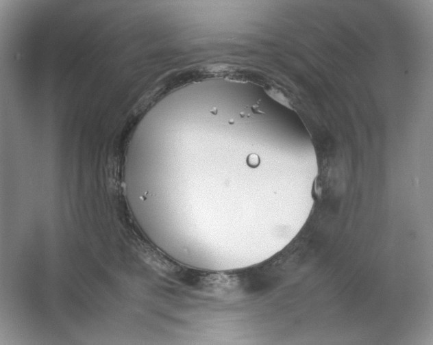 X0000064730421200603031646