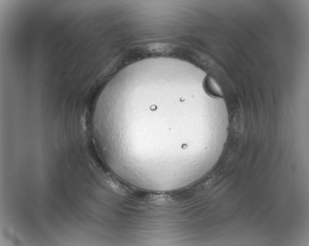 X0000064730424200603031646