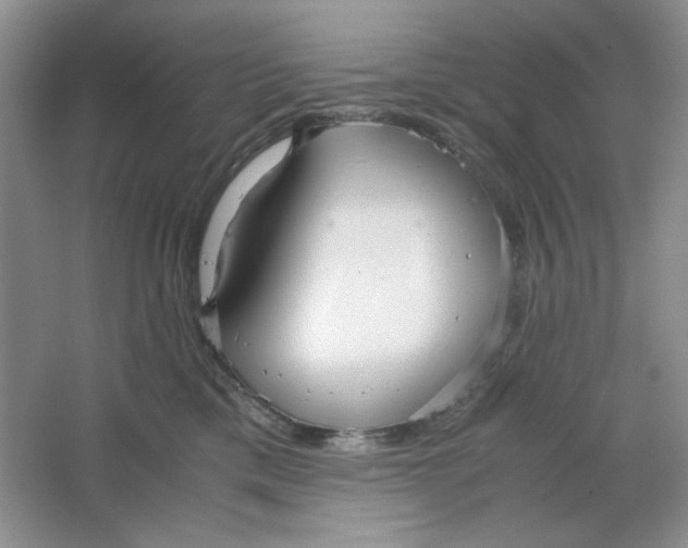 X0000064730425200603031646